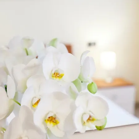 Διαμέρισμα Iris Centralissimo *