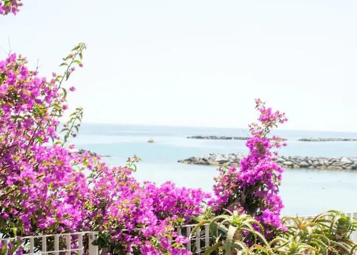 Iris Centralissimo * Sanremo