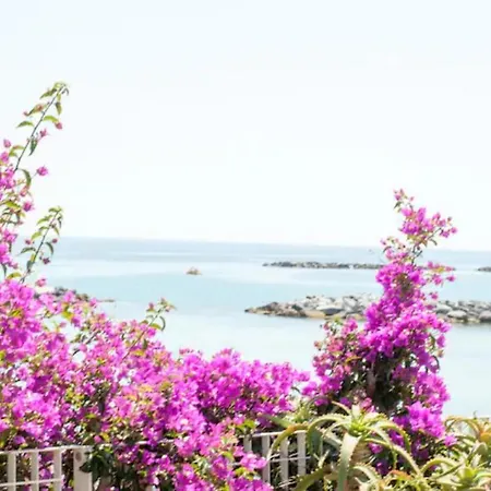 Iris Centralissimo * Sanremo